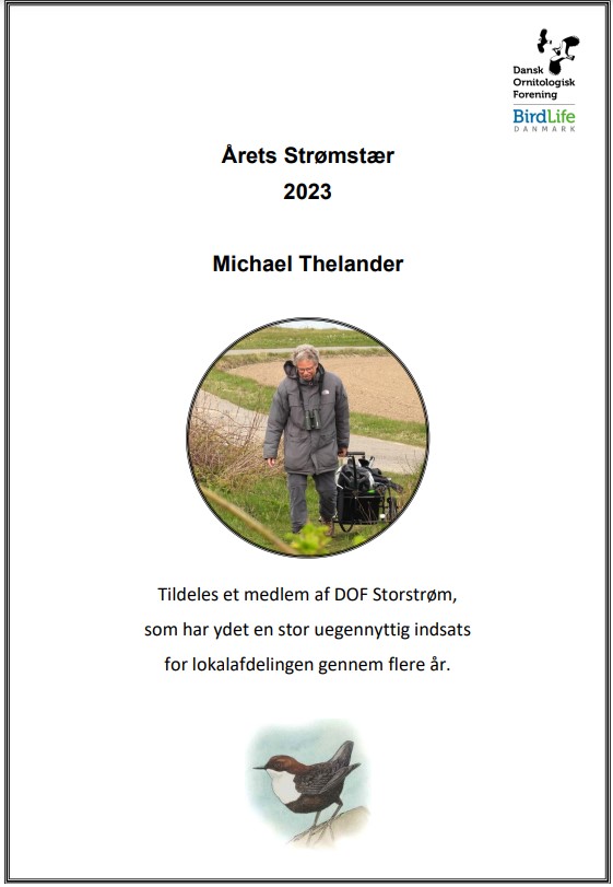 AretsStromstaerDiplom2023