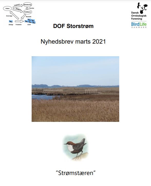 DOFSTOR Nyhedsbrev 2021 03 forside