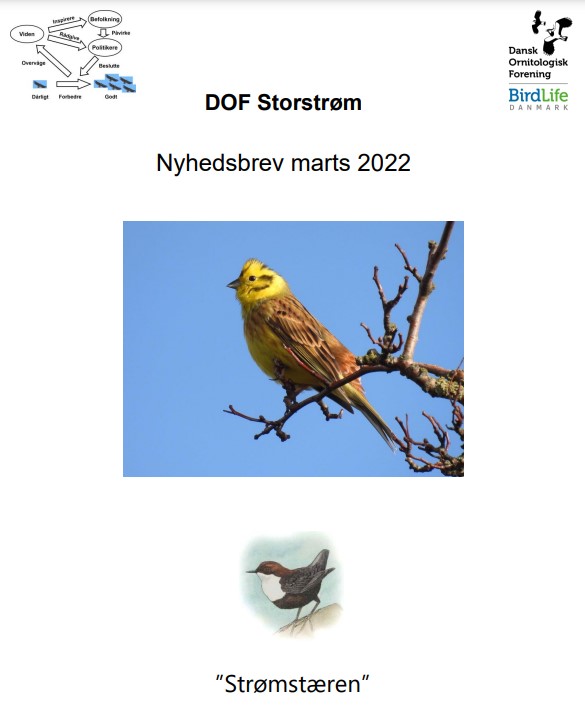 Nyhedsbrev 2022 3 forside