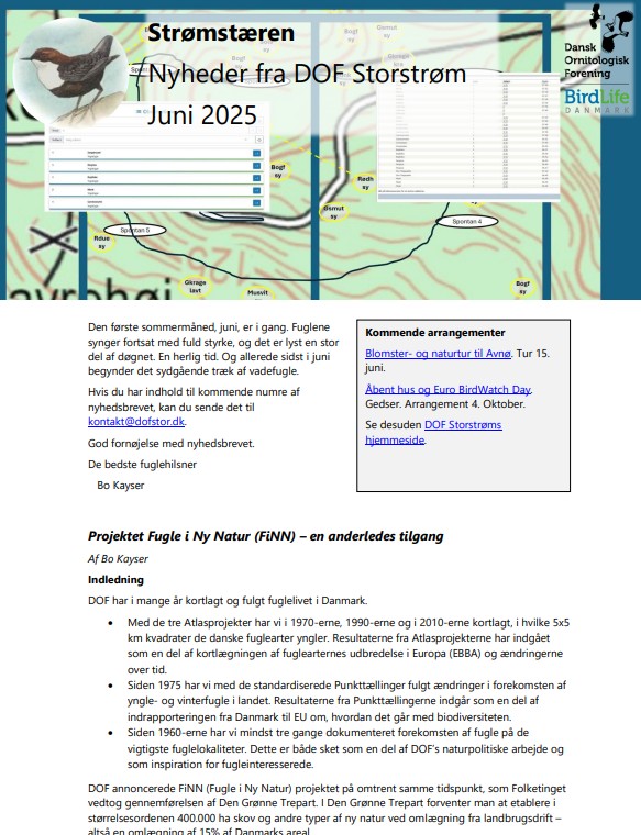 Strømstæren 2025 06